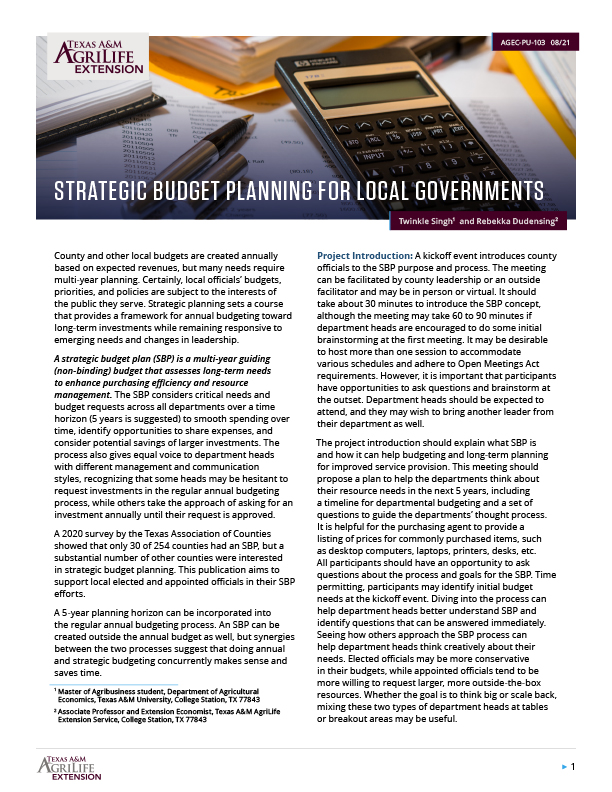 Strategic Budget Planning for Local Governments | Publications ...