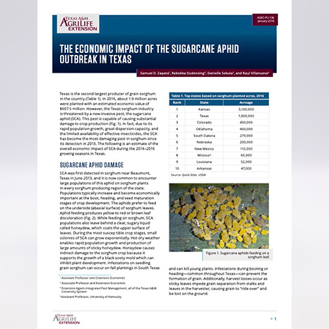The Economic Impact of the Sugarcane Aphid Outbreak in Texas ...