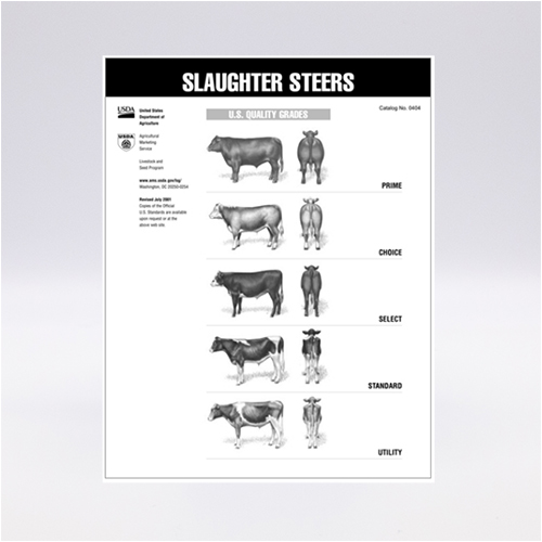 Quality Grades of Slaughter Steers Publications AgriLife Learn