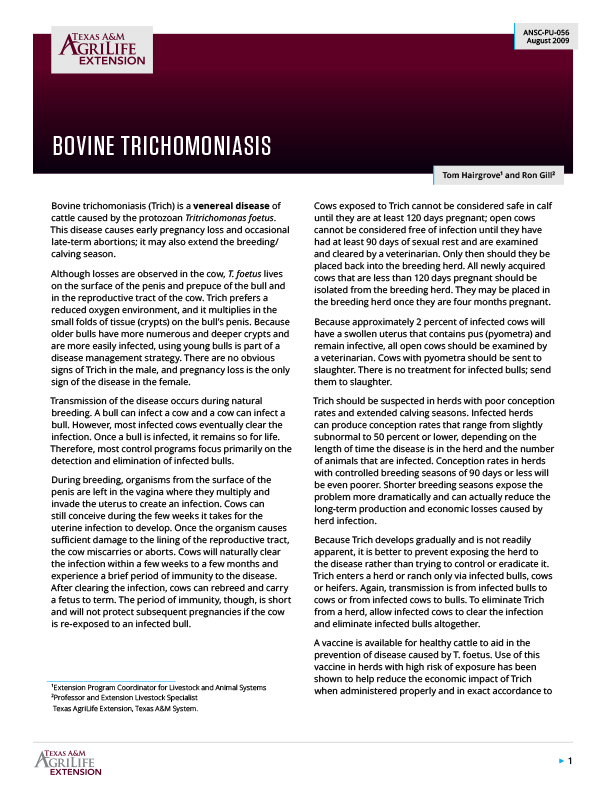 Bovine Trichomoniasis | Publications | AgriLife Learn