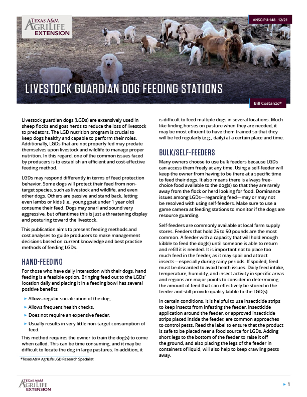 Livestock Guardian Dog Feeding Stations Publications AgriLife Learn