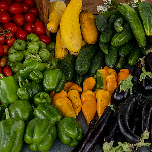 Fall Vegetable Gardening Guide Publications AgriLife Learn