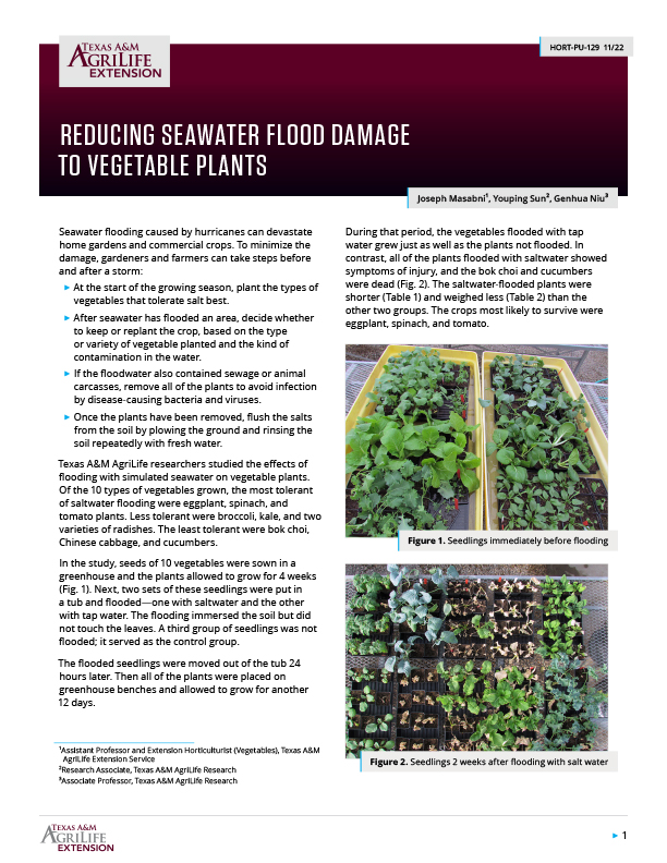 Reducing Seawater Flood Damage to Vegetable Plants Publications