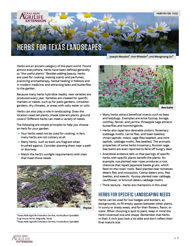 Herbs for Texas Landscapes Publications AgriLife Learn