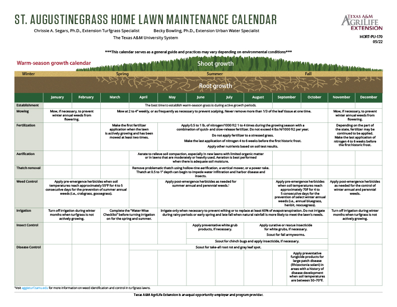 St. Augustinegrass Home Lawn Maintenance Calendar | Publications | AgriLife Learn St. Augustinegrass Home Lawn Maintenance Calendar | Publications | AgriLife Learn
