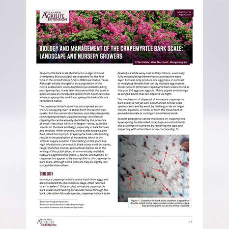 Biology and Management of the Crapemyrtle Bark Scale: Landscape and ...