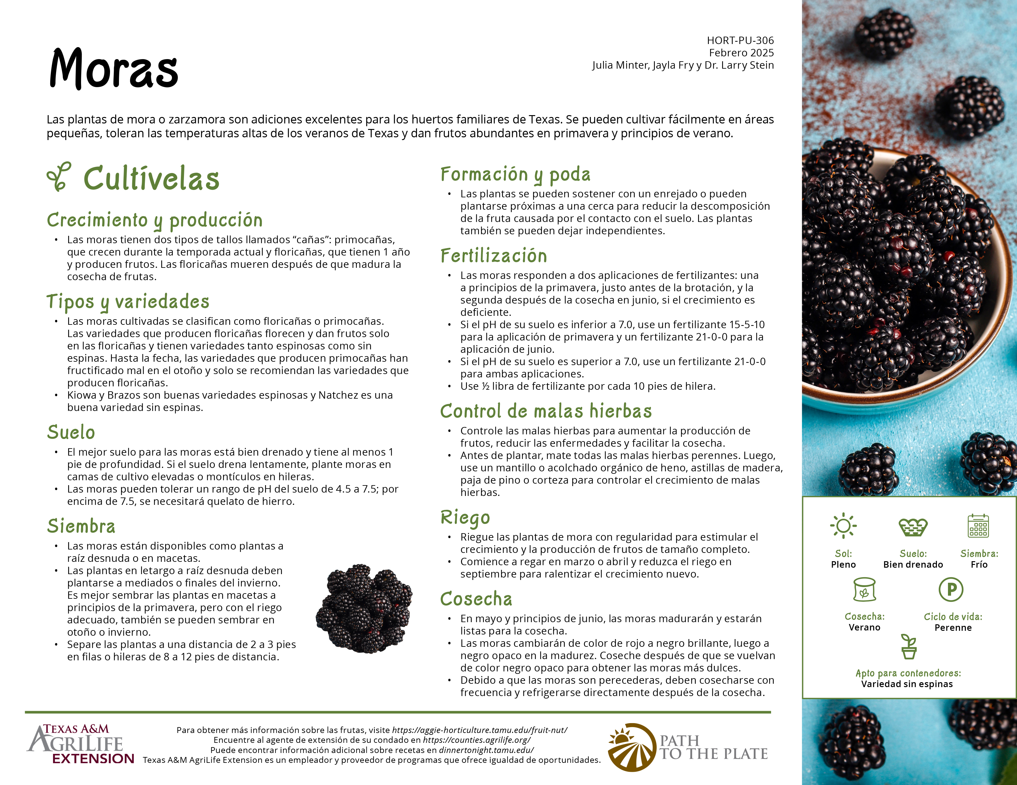 Todo lo que necesitas saber para acolchar tu terreno | Plantas, image size:3300x2550