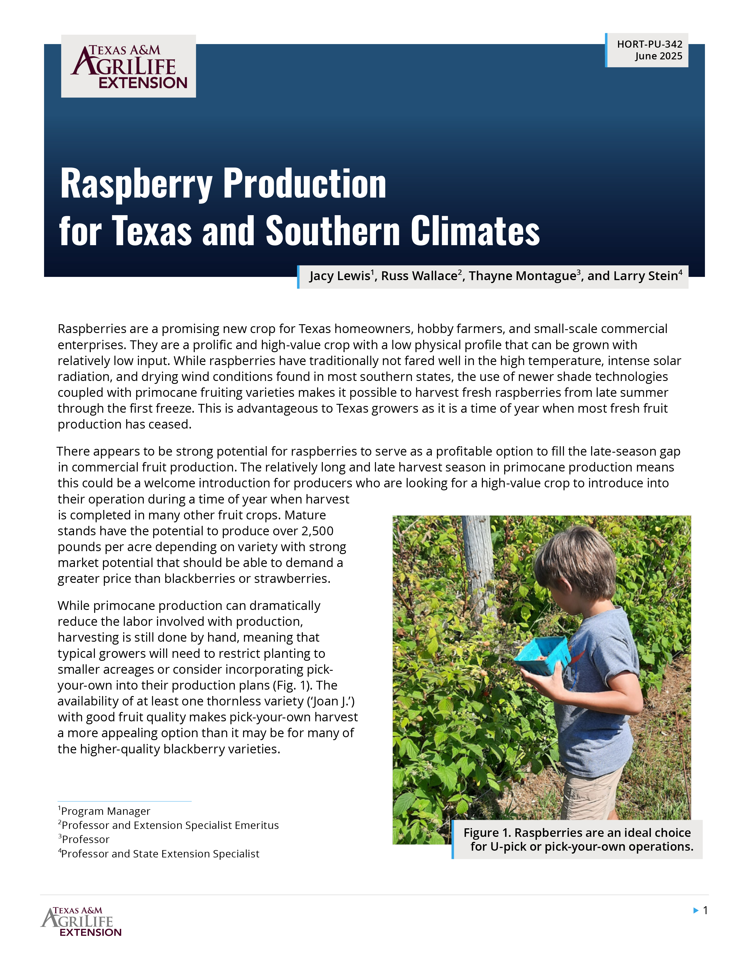 Raspberry Production for Texas and Southern Climates | Publications ...