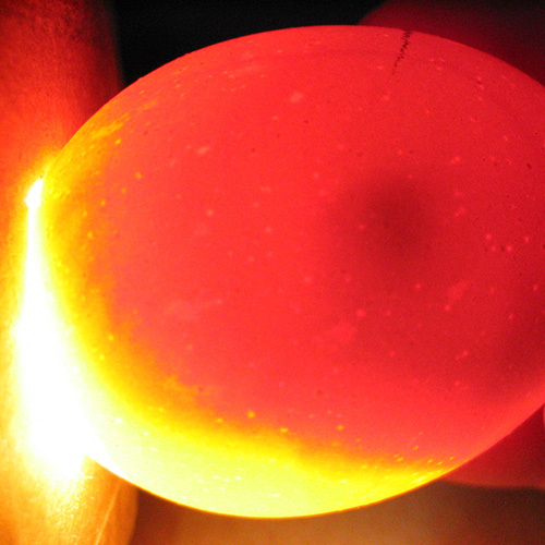 How to Make an Egg Candler Publications AgriLife Learn