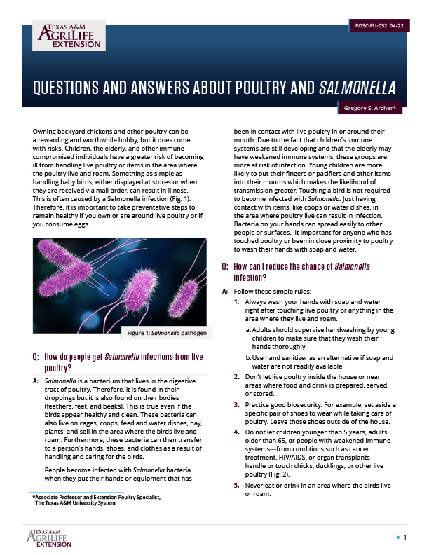 Questions and Answers about Poultry and Salmonella Publications
