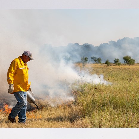 Prescribed Burn School | Courses | AgriLife Learn