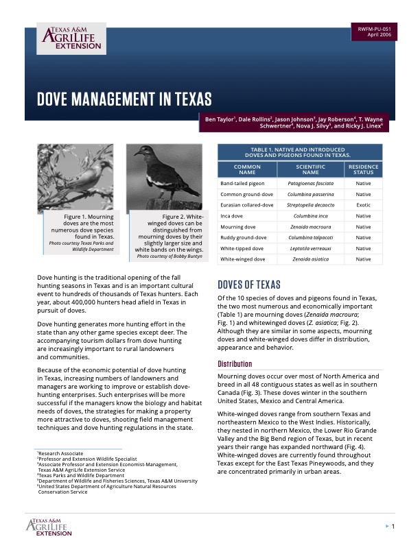 Dove Management in Texas Publications AgriLife Learn