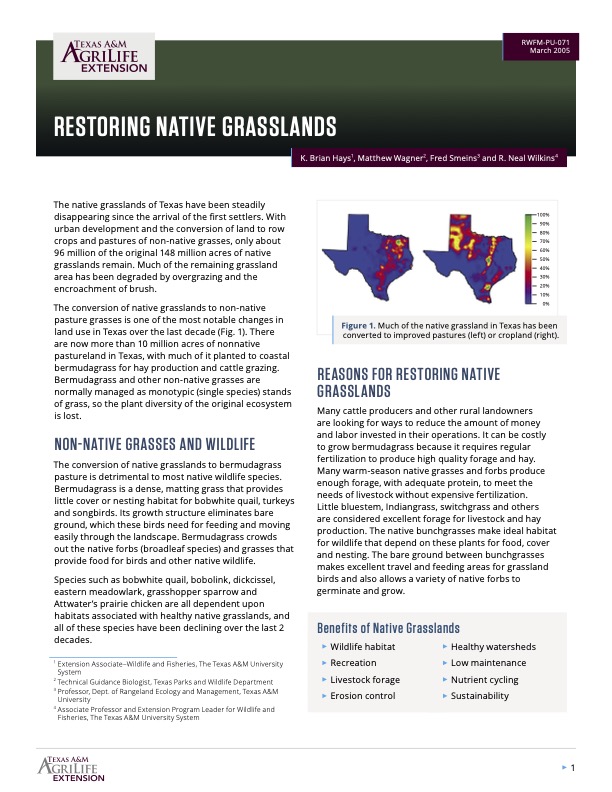 Restoring Native Grasslands | Publications | AgriLife Learn