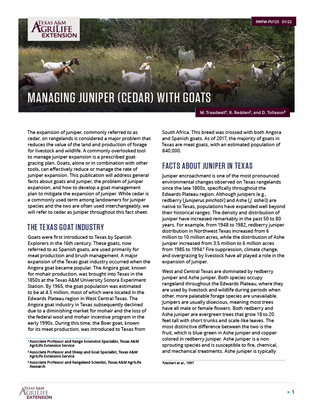 Managing Juniper (Cedar) with Goats Publications AgriLife Learn