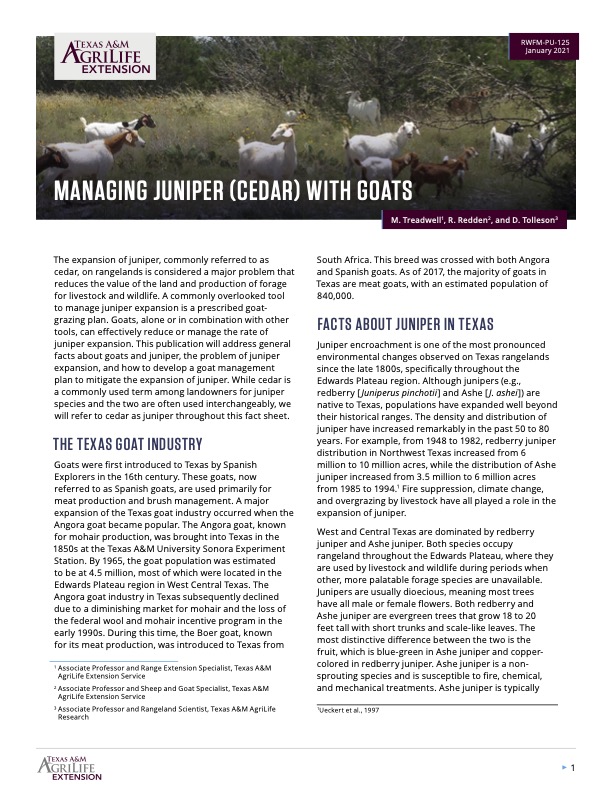 Managing Juniper (Cedar) with Goats Publications AgriLife Learn
