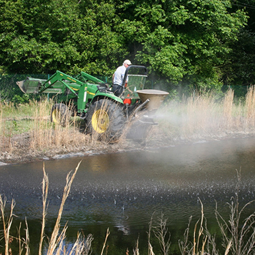 Liming Your Pond to Improve the Fishery Publications AgriLife Learn