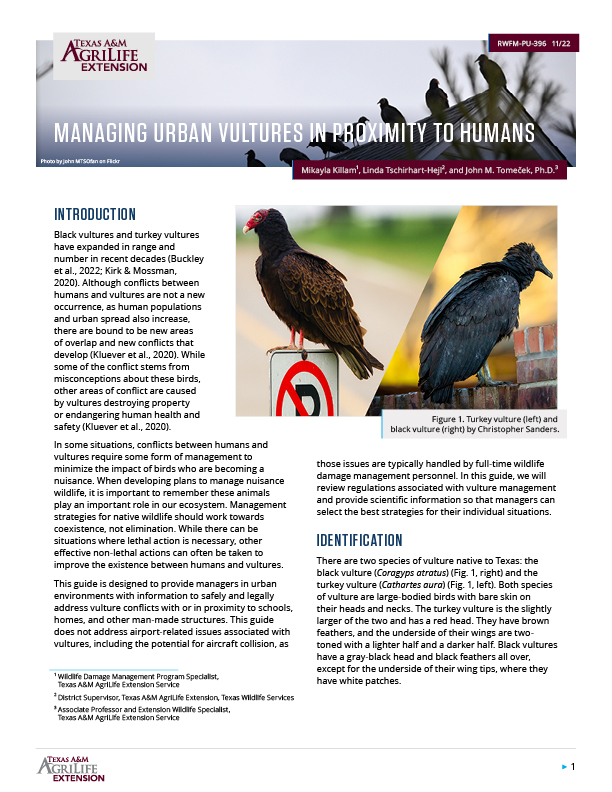 Managing Urban Vultures in Proximity to Humans Publications
