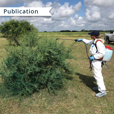 Plants & Crops | Texas A&M AgriLife Learn