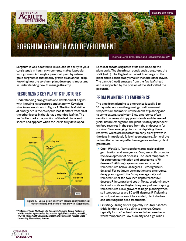 Growth and Development