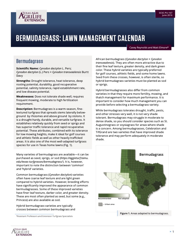 Bermudagrass: Home Lawn Management Calendar | Publications | AgriLife Learn